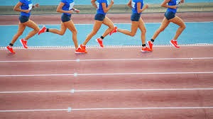 玩法骤变 《火鸡英雄传》删档付费测试即将开启