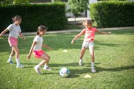 博彩行业的抗风险能力（博彩业的风险抵御能力）