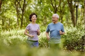 《幻想生活i》免费DLC预定圣诞期间发布 新情报公开